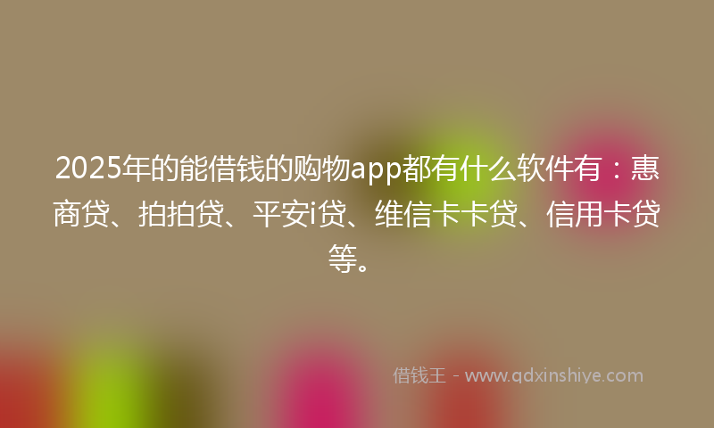 2025年的能借钱的购物app都有什么软件有：惠商贷、拍拍贷、平安i贷、维信卡卡贷、信用卡贷等。