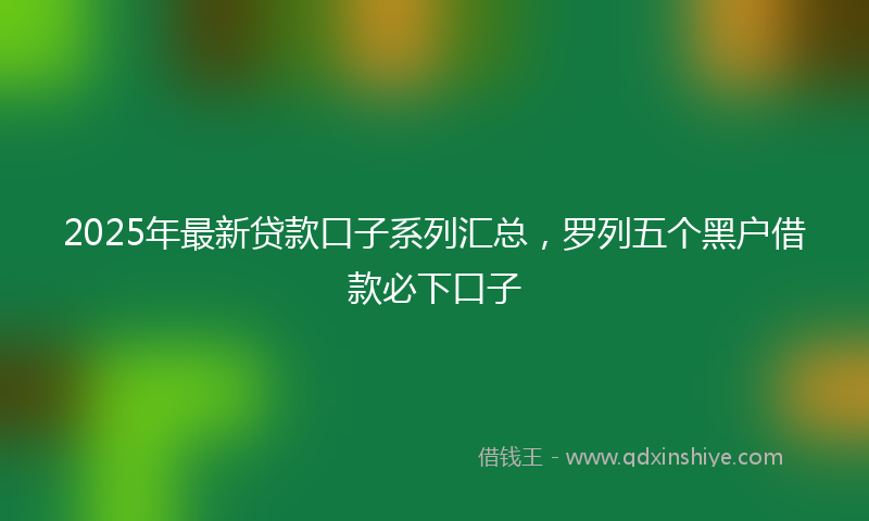 2025年最新贷款口子系列汇总，罗列五个黑户借款必下口子