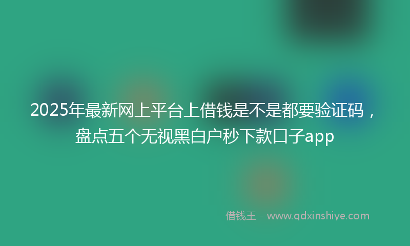 2025年最新网上平台上借钱是不是都要验证码，盘点五个无视黑白户秒下款口子app