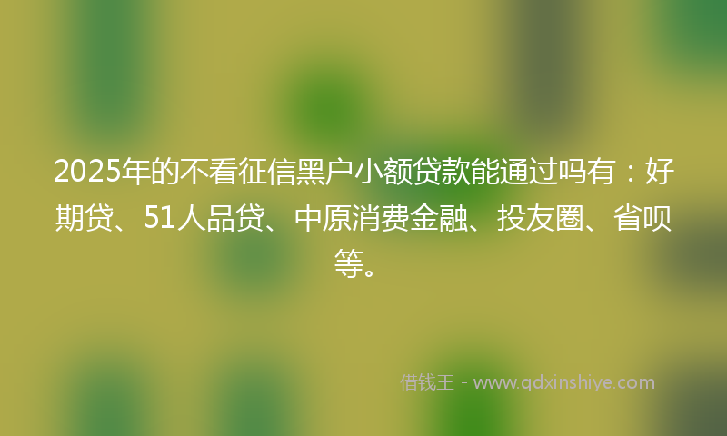 2025年的不看征信黑户小额贷款能通过吗有：好期贷、51人品贷、中原消费金融、投友圈、省呗等。