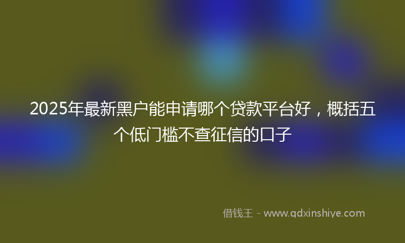 2025年最新黑户能申请哪个贷款平台好，概括五个低门槛不查征信的口子