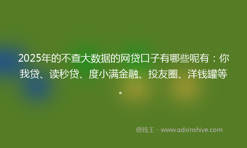 2025年的不查大数据的网贷口子有哪些呢有：你我贷、读秒贷、度小满金融、投友圈、洋钱罐等。
