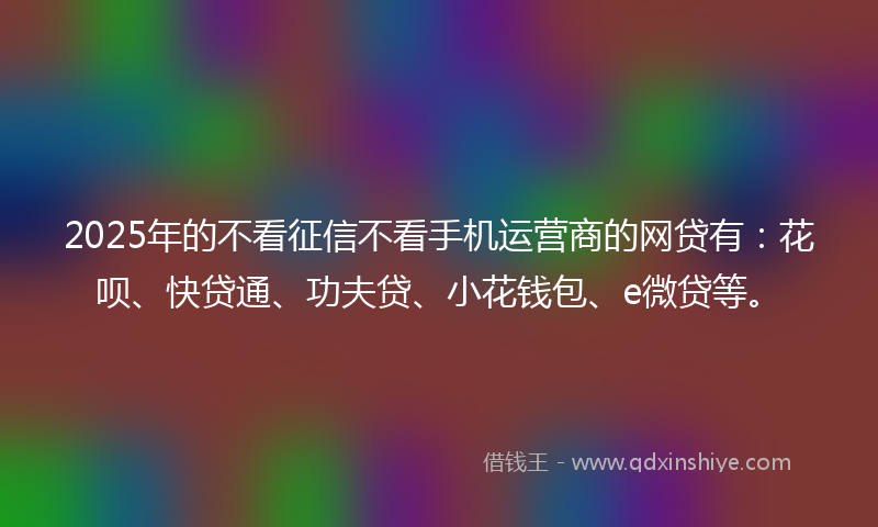 2025年的不看征信不看手机运营商的网贷有：花呗、快贷通、功夫贷、小花钱包、e微贷等。