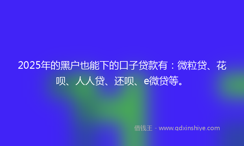 2025年的黑户也能下的口子贷款有：微粒贷、花呗、人人贷、还呗、e微贷等。