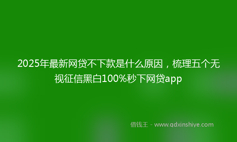2025年最新网贷不下款是什么原因，梳理五个无视征信黑白100%秒下网贷app