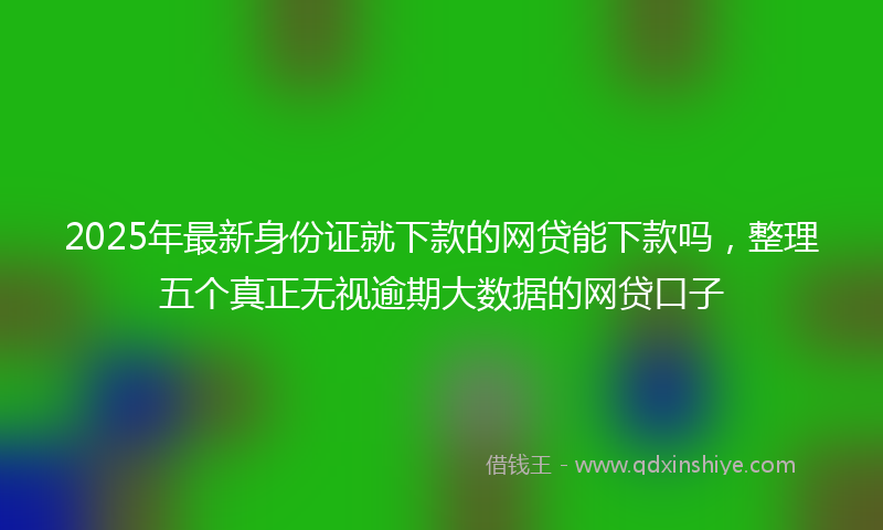 2025年最新身份证就下款的网贷能下款吗，整理五个真正无视逾期大数据的网贷口子