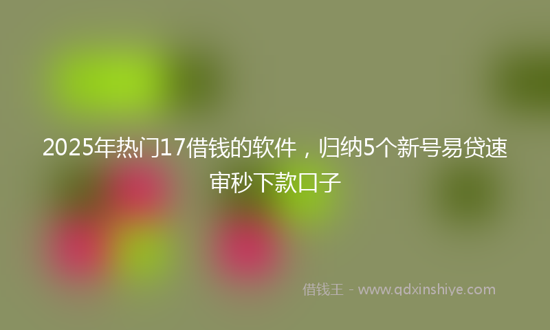 2025年热门17借钱的软件，归纳5个新号易贷速审秒下款口子