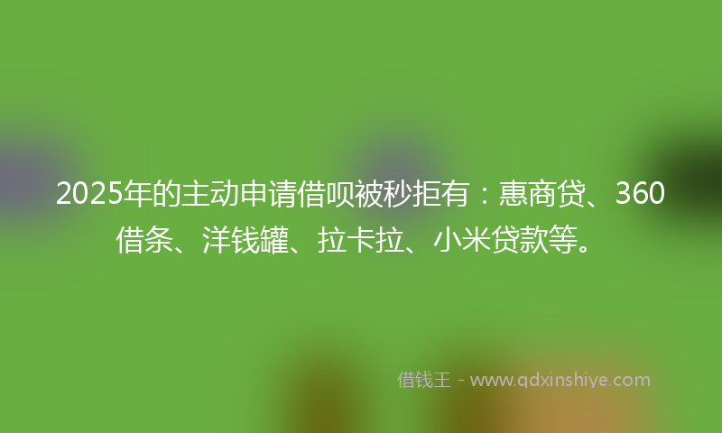 2025年的主动申请借呗被秒拒有：惠商贷、360借条、洋钱罐、拉卡拉、小米贷款等。