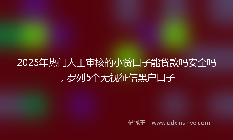 2025年热门人工审核的小贷口子能贷款吗安全吗，罗列5个无视征信黑户口子