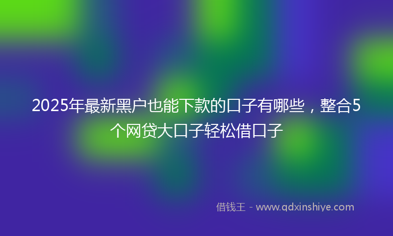 2025年最新黑户也能下款的口子有哪些，整合5个网贷大口子轻松借口子