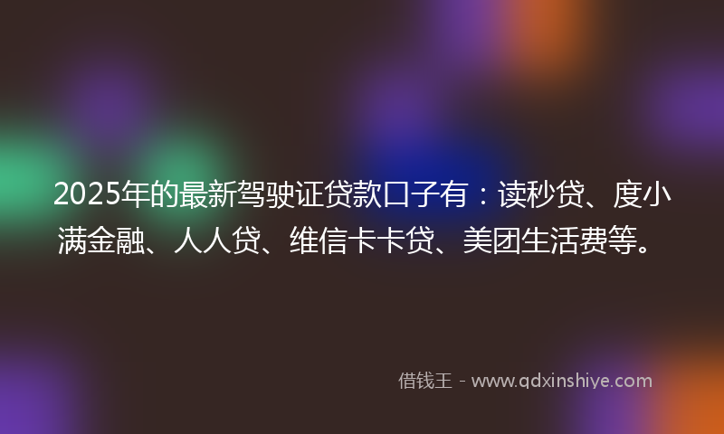 2025年的最新驾驶证贷款口子有：读秒贷、度小满金融、人人贷、维信卡卡贷、美团生活费等。