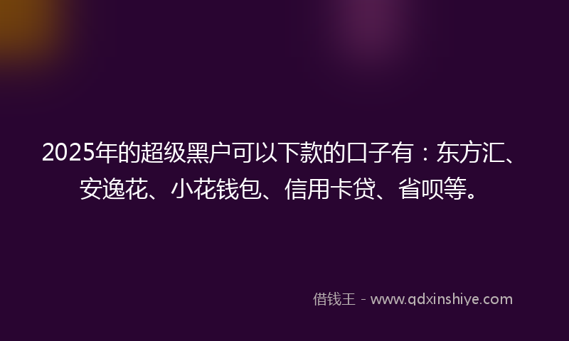 2025年的超级黑户可以下款的口子有：东方汇、安逸花、小花钱包、信用卡贷、省呗等。