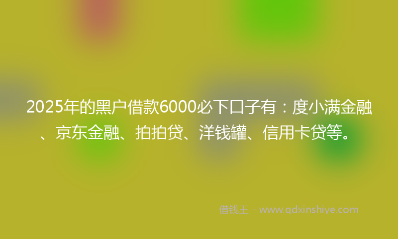 2025年的黑户借款6000必下口子有：度小满金融、京东金融、拍拍贷、洋钱罐、信用卡贷等。