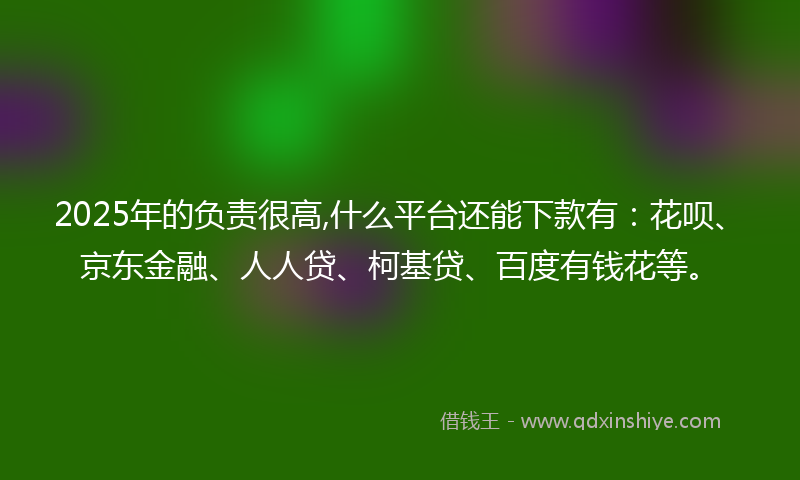 2025年的负责很高,什么平台还能下款有：花呗、京东金融、人人贷、柯基贷、百度有钱花等。