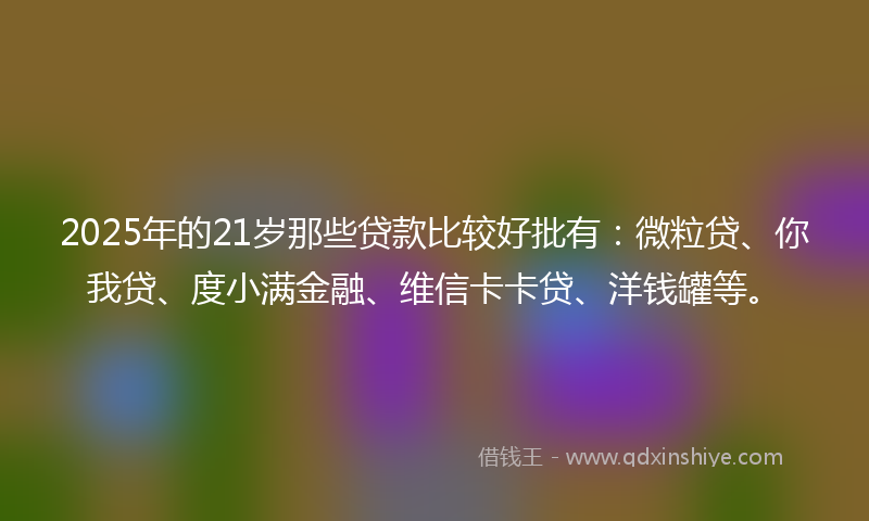 2025年的21岁那些贷款比较好批有：微粒贷、你我贷、度小满金融、维信卡卡贷、洋钱罐等。