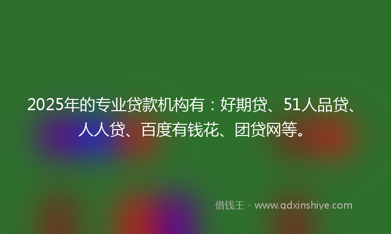 2025年的专业贷款机构有：好期贷、51人品贷、人人贷、百度有钱花、团贷网等。