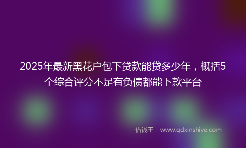 2025年最新黑花户包下贷款能贷多少年，概括5个综合评分不足有负债都能下款平台