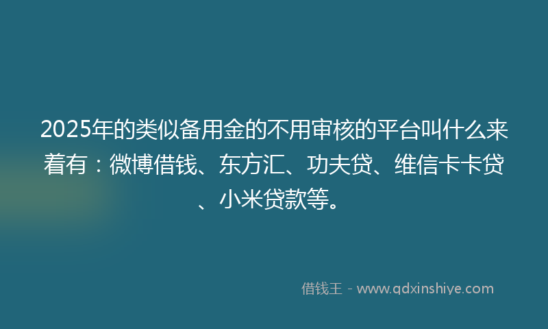 2025年的类似备用金的不用审核的平台叫什么来着有：微博借钱、东方汇、功夫贷、维信卡卡贷、小米贷款等。