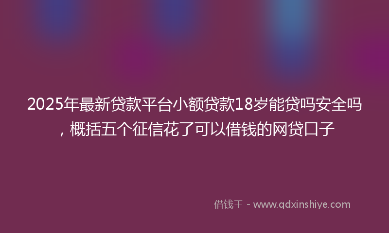 2025年最新贷款平台小额贷款18岁能贷吗安全吗，概括五个征信花了可以借钱的网贷口子