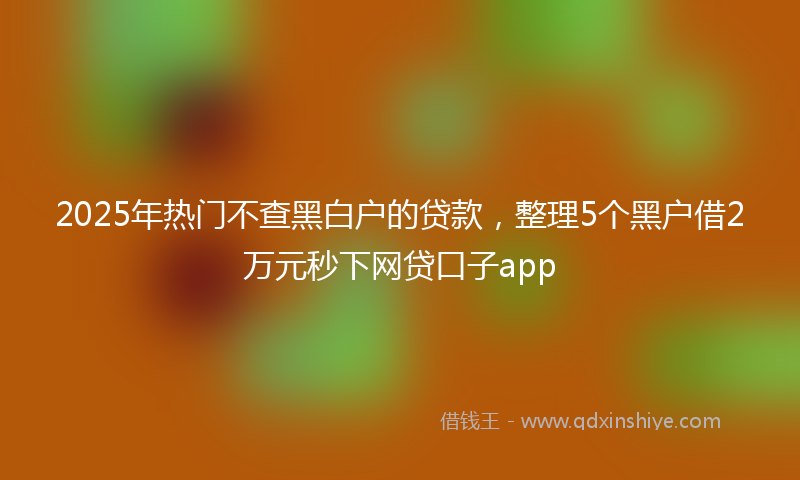 2025年热门不查黑白户的贷款，整理5个黑户借2万元秒下网贷口子app