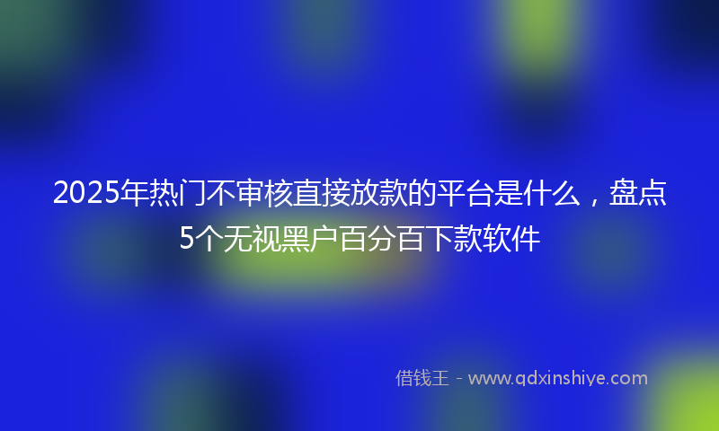 2025年热门不审核直接放款的平台是什么，盘点5个无视黑户百分百下款软件