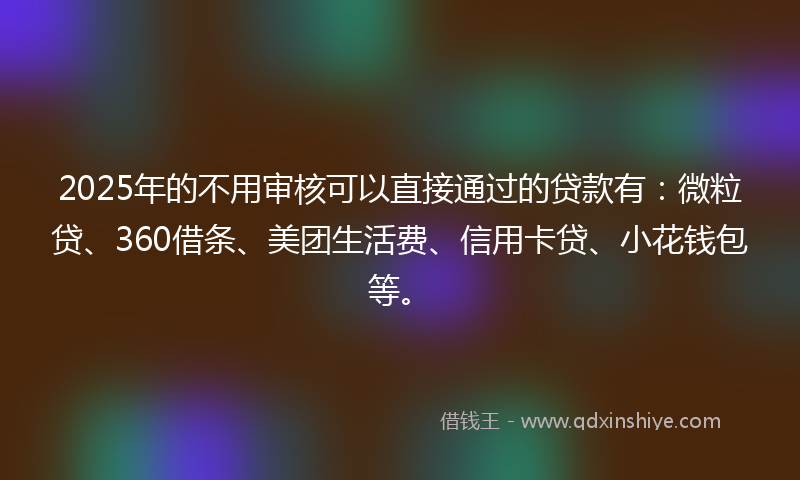 2025年的不用审核可以直接通过的贷款有：微粒贷、360借条、美团生活费、信用卡贷、小花钱包等。