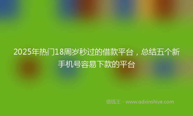 2025年热门18周岁秒过的借款平台，总结五个新手机号容易下款的平台