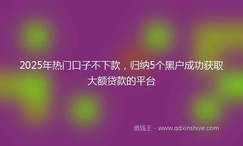 2025年热门口子不下款，归纳5个黑户成功获取大额贷款的平台