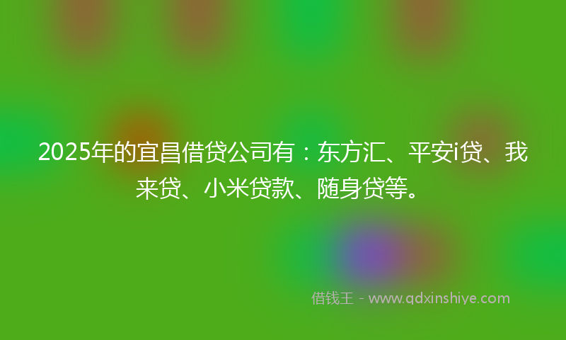 2025年的宜昌借贷公司有：东方汇、平安i贷、我来贷、小米贷款、随身贷等。