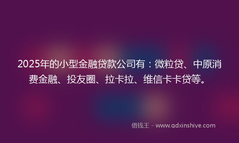 2025年的小型金融贷款公司有：微粒贷、中原消费金融、投友圈、拉卡拉、维信卡卡贷等。