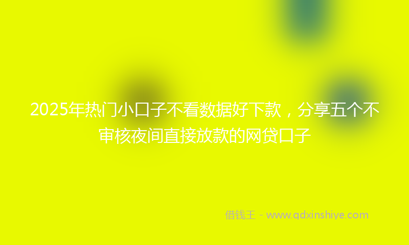 2025年热门小口子不看数据好下款，分享五个不审核夜间直接放款的网贷口子