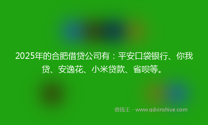 2025年的合肥借贷公司有：平安口袋银行、你我贷、安逸花、小米贷款、省呗等。