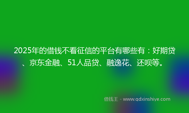2025年的借钱不看征信的平台有哪些有：好期贷、京东金融、51人品贷、融逸花、还呗等。