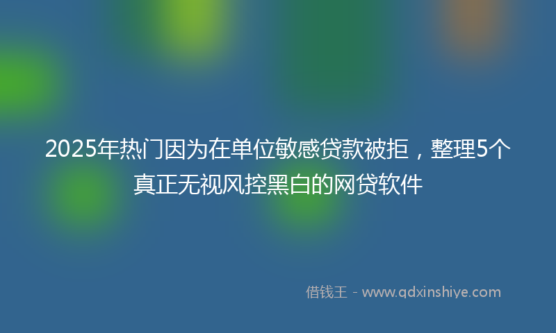2025年热门因为在单位敏感贷款被拒，整理5个真正无视风控黑白的网贷软件