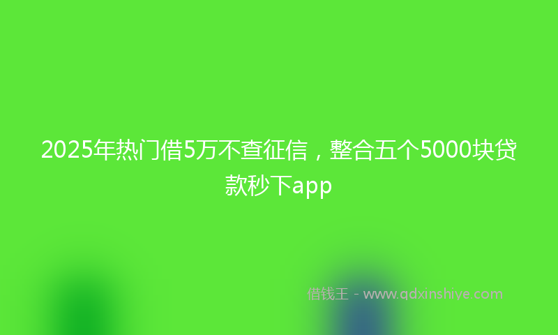 2025年热门借5万不查征信，整合五个5000块贷款秒下app