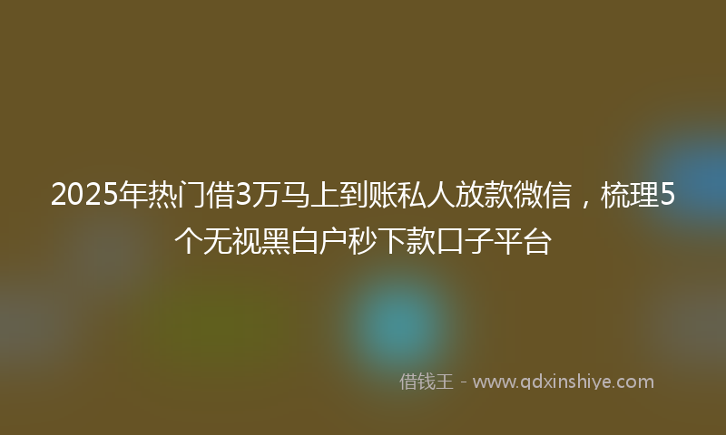 2025年热门借3万马上到账私人放款微信，梳理5个无视黑白户秒下款口子平台