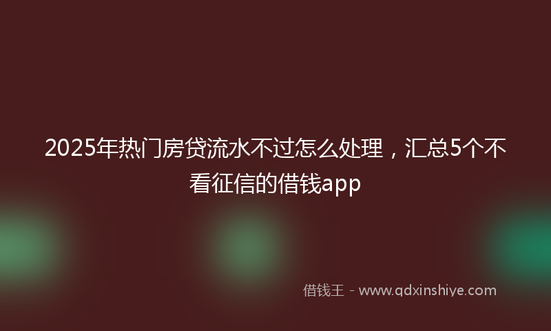 2025年热门房贷流水不过怎么处理，汇总5个不看征信的借钱app