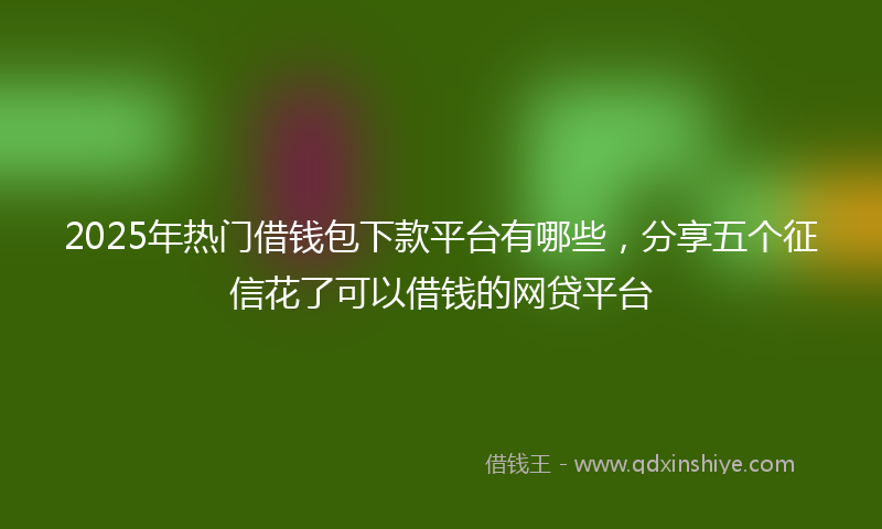 2025年热门借钱包下款平台有哪些，分享五个征信花了可以借钱的网贷平台