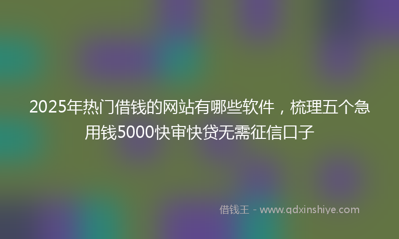 2025年热门借钱的网站有哪些软件，梳理五个急用钱5000快审快贷无需征信口子