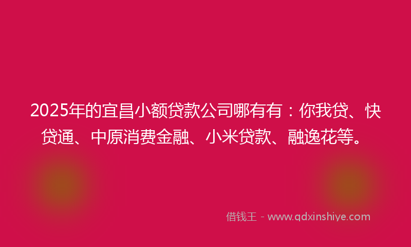 2025年的宜昌小额贷款公司哪有有：你我贷、快贷通、中原消费金融、小米贷款、融逸花等。