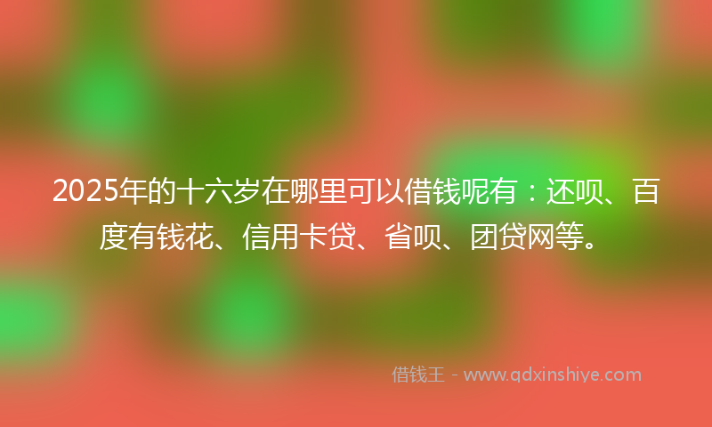 2025年的十六岁在哪里可以借钱呢有：还呗、百度有钱花、信用卡贷、省呗、团贷网等。