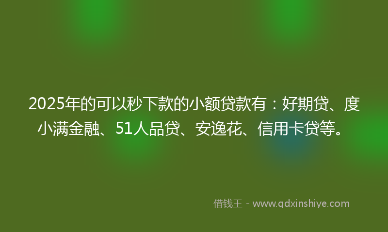 2025年的可以秒下款的小额贷款有：好期贷、度小满金融、51人品贷、安逸花、信用卡贷等。