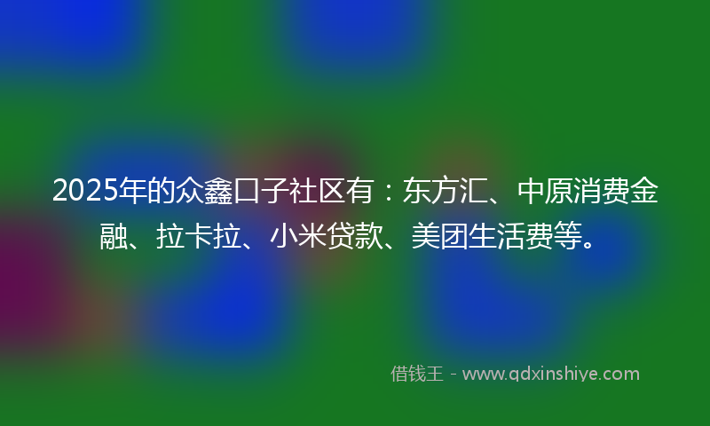 2025年的众鑫口子社区有：东方汇、中原消费金融、拉卡拉、小米贷款、美团生活费等。