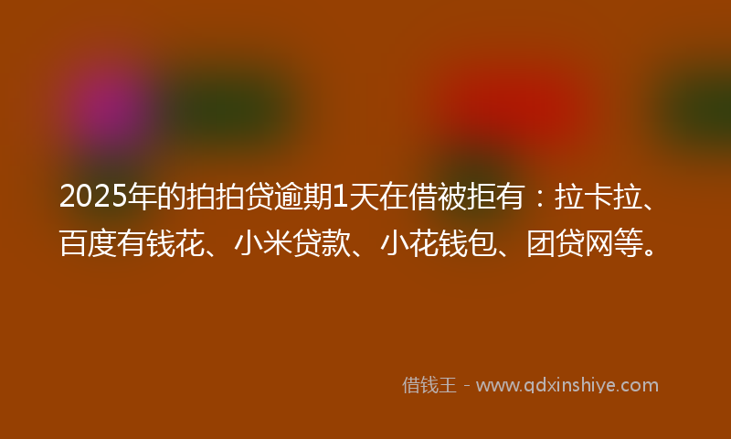2025年的拍拍贷逾期1天在借被拒有：拉卡拉、百度有钱花、小米贷款、小花钱包、团贷网等。