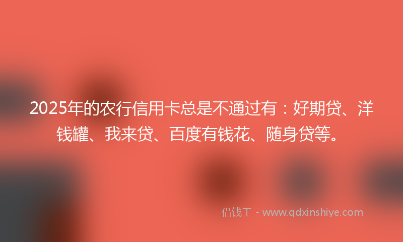 2025年的农行信用卡总是不通过有：好期贷、洋钱罐、我来贷、百度有钱花、随身贷等。