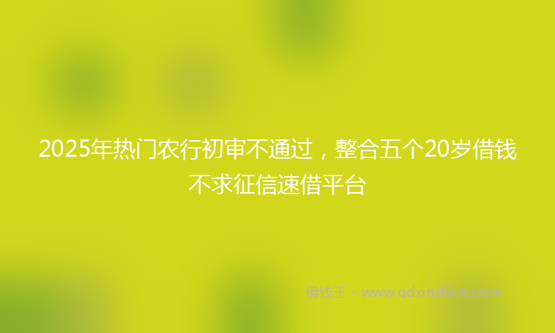 2025年热门农行初审不通过，整合五个20岁借钱不求征信速借平台