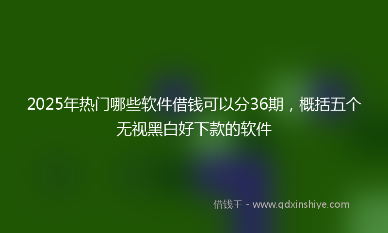 2025年热门哪些软件借钱可以分36期，概括五个无视黑白好下款的软件