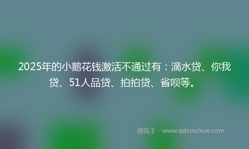2025年的小鹅花钱激活不通过有：滴水贷、你我贷、51人品贷、拍拍贷、省呗等。