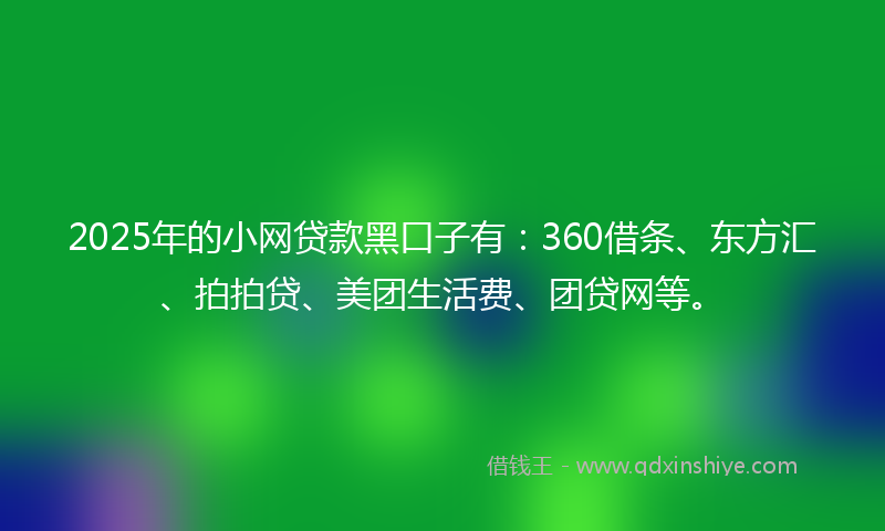 2025年的小网贷款黑口子有：360借条、东方汇、拍拍贷、美团生活费、团贷网等。
