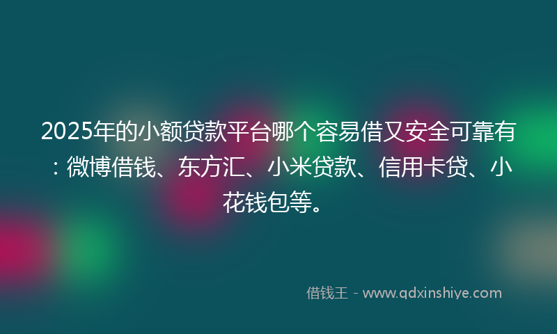 2025年的小额贷款平台哪个容易借又安全可靠有：微博借钱、东方汇、小米贷款、信用卡贷、小花钱包等。